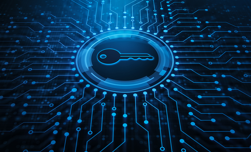 Exploring the dynamics of digital trust